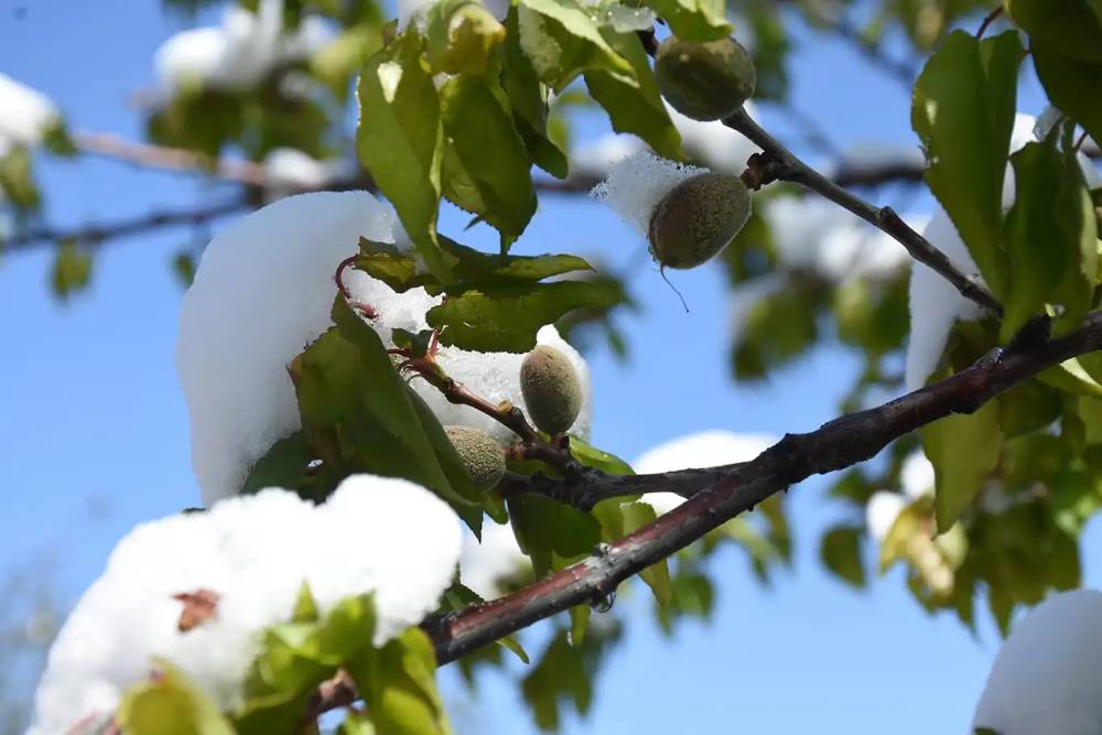 Apple, L&uuml;bnan k&ouml;ylerini haritadan siliyor