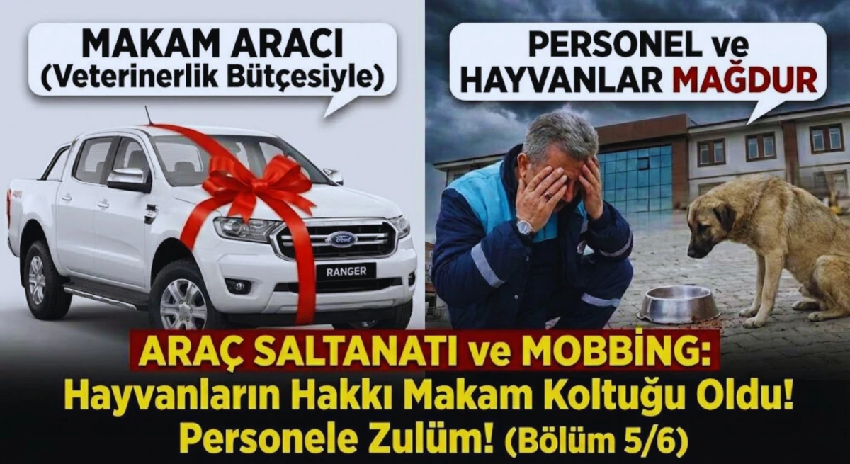 HAYVANLARIN HAKKI MAKAM KOLTUĞUNA KURBAN EDİLDİ! Bu Ara&ccedil;lar Can Kurtarmak İ&ccedil;in mi, Sefa S&uuml;rmek İ&ccedil;in mi? (B&ouml;l&uuml;m 5/6)