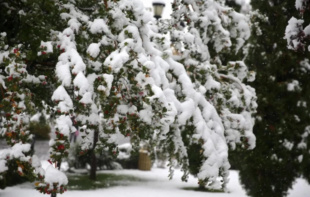 Kar yağışı çok sert geliyor! 'Mevsim normallerinin üzerinde gerçekleşecek!' 