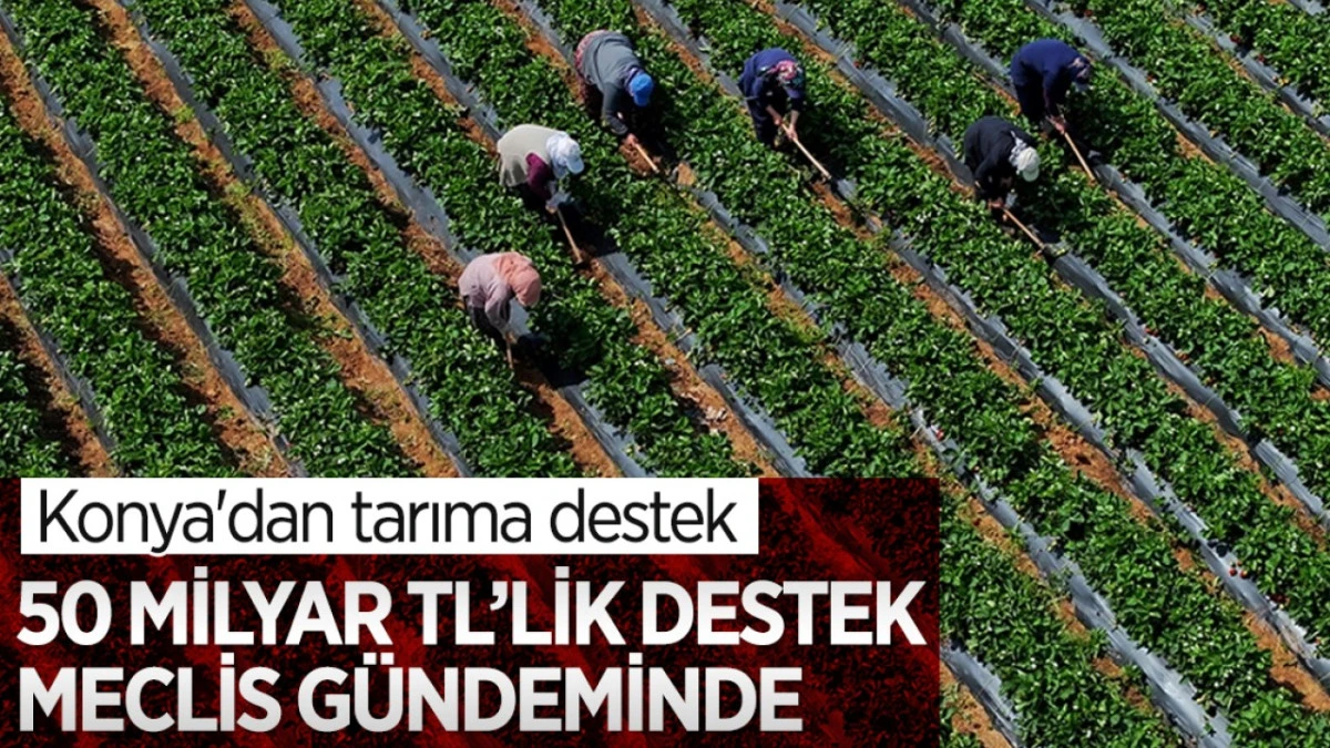 Konya tarımına destek: 50 Milyar TL’lik destek meclis gündeminde